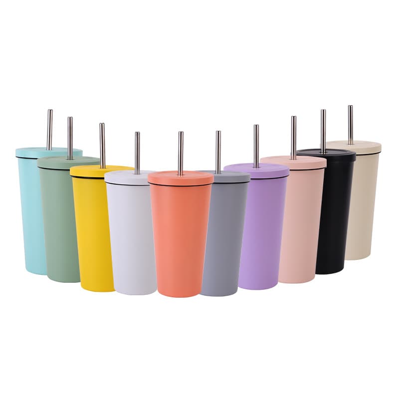 Insulated Tumbler with Lid and Straw